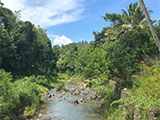 Pili Paninap Farm Sampaloc River 9