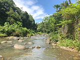 Pili Paninap Farm Sampaloc River