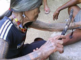 Tinglayan Last Butbut Tribe Tattoo Artist 3