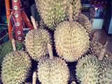 Davao Durian Magsaysay Fruit Market