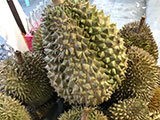 Davao Durian 1