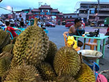 Davao Durian 2