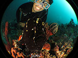 Anilao Frogfish 29