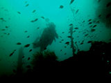 Coron Shipwreck 13