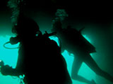 Coron Shipwreck 19