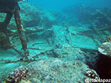 Tubbataha Malayan Wreck 6