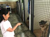 Angat Bulacan Hound Haven 3