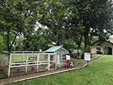 Angat Bulacan Numana Farm 11