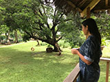 Angat Bulacan Numana Farm Modern Kubo 4