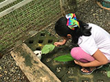 Angat Bulacan Numana Farm Rabbit Feeding 4