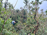 Mt Sicapoo Apayao Trail 28