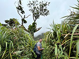 Mt Sicapoo Apayao Trail 29