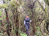 Mt Sicapoo Apayao Trail 55