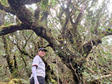 Mt Sicapoo Apayao Trail 61