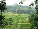 Asipulo Ifugao 2