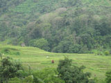 Asipulo Ifugao 4