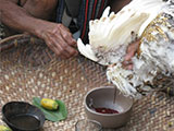 Asipulo Ritual Before Cutting Hair 1