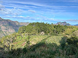 Bakun Benguet Mt Patullok 17