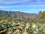 Bakun Benguet Mt Patullok 19