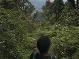 Barlig Mt Province Mt Amuyao Mossy Forest 7