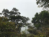 Barlig Mt Province on the Way to the Summit 10