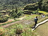 Barlig Mt Province on the Way to the Summit