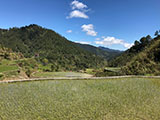 Descent from Barlig Mt Province Mt Amuyao 4