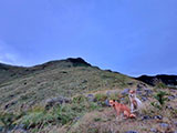 Bataan Tarak Ridge 3