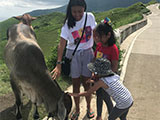 Batanes North Vayang Rolling Hills 4