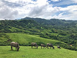 Batanes South Marlboro Hills 14