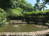 Cabuyao Laguna Sta Elena Fun Farm Fish Feeding 4