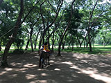 Cabuyao Laguna Sta Elena Fun Farm Horseback Riding 1