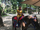 Cabuyao Laguna Sta Elena Fun Farm Horseback Riding