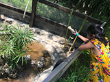 Cabuyao Laguna Sta Elena Fun Farm Turtle Feeding 2