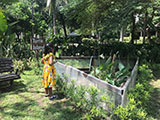 Cabuyao Laguna Sta Elena Fun Farm Turtle Feeding