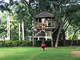 Cabuyao Laguna Sta Elena Fun Farm Zipline 4