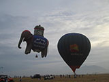 Hot Air Balloons 5