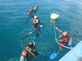 Coron Palawan Diving 1