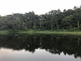 Ambuwaya Lake