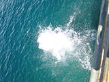 Ligpo Island Cliff Jumping 1