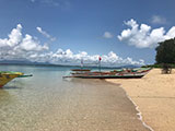 Mercedes Camarines Norte Apuao Pequenia