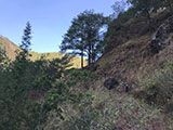 Mt Pulag Via Akiki Trail 8