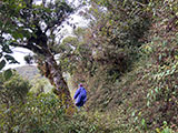 Mt Pulag Ambaguio Tawangan 18