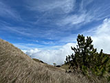 Mt Pulag Ambaguio Tawangan 40