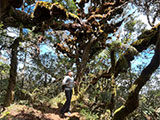 Mt Pulag Ambaguio Tawangan 44