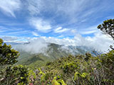 Mt Pulag Ambaguio Tawangan 48