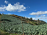 Mt Pulag Ambaguio Tawangan 5