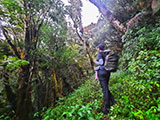 Mt Pulag Ambaguio Tawangan 67