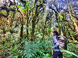 Mt Pulag Ambaguio Tawangan 70