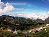 Timbak Rice Terraces 2